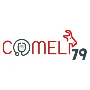 Logo 79