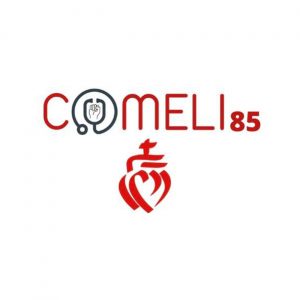 Logo 85